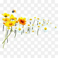 黄白色时尚花朵插图-空若网 黄白色时尚花朵插图-空若网