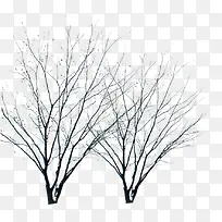 树枝主题运动鞋海报-空若网 树枝主题运动鞋海报-空若网