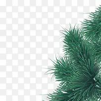 ËɰØÑÓÄêÊ¥µ®½Ú×°ÊÎÔªËØ-¿ÕÈôÍø ËɰØÑÓÄêÊ¥µ®½Ú×°ÊÎÔªËØ-¿ÕÈôÍø