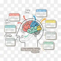 �Բ��˶�-������