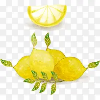 水彩柠檬矢量图-空若网 水彩柠檬矢量图-空若网