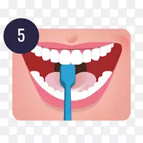 牙刷牙科学人类牙齿清洁.牙刷-空若网 牙刷牙科学人类牙齿清洁.牙刷-空若网