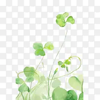 水彩叶子-空若网 水彩叶子-空若网