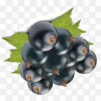 乌梅装饰矢量设计-空若网 乌梅装饰矢量设计-空若网