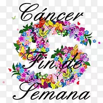 ����ռ������֢ռ����-������