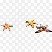 可爱五彩海星旅行-空若网 可爱五彩海星旅行-空若网