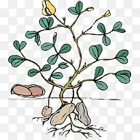 花生矢量插画-空若网 花生矢量插画-空若网