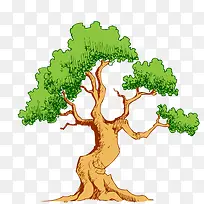 参天大树-空若网 参天大树-空若网