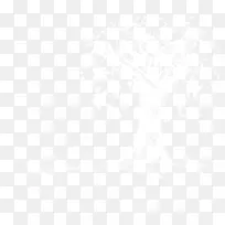 ÒøÊ÷-¿ÕÈôÍø ÒøÊ÷-¿ÕÈôÍø