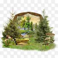 树-空若网 树-空若网