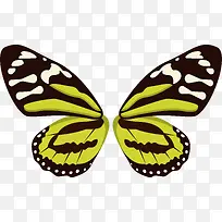 创意蝴蝶翅膀设计-空若网 创意蝴蝶翅膀设计-空若网