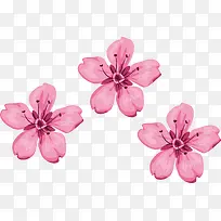 樱花手绘装饰矢量设计-空若网 樱花手绘装饰矢量设计-空若网