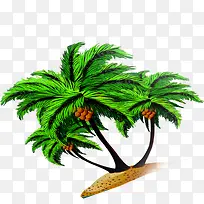手绘摄影冰爽椰子树-空若网 手绘摄影冰爽椰子树-空若网
