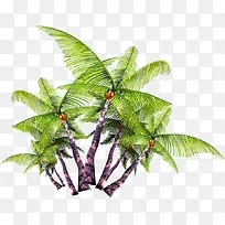 ������ӰҬ����Ч������-������