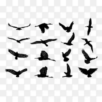 矢量鸟的轮廓-空若网 矢量鸟的轮廓-空若网