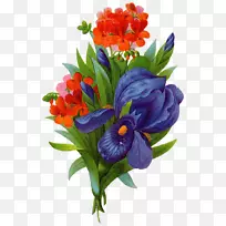 花粉画花-空若网 花粉画花-空若网