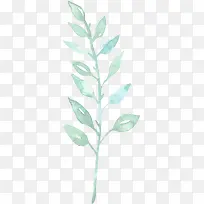 绿色水彩画草|树叶1-空若网 绿色水彩画草|树叶1-空若网