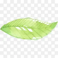 ÂÌɫˮ²Ê»²Ý|Ê÷Ò¶11-¿ÕÈôÍø ÂÌɫˮ²Ê»²Ý|Ê÷Ò¶11-¿ÕÈôÍø