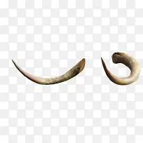 ����png�ز�-������