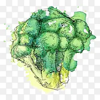 蔬菜-空若网 蔬菜-空若网