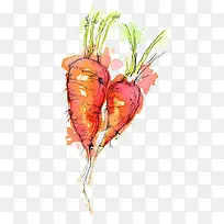 Ë®²ÊºúÂܲ·-¿ÕÈôÍø Ë®²ÊºúÂܲ·-¿ÕÈôÍø