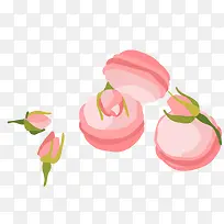 ��ƽ�� ���� ���� ��� �ۺ�-������