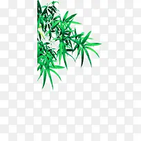 高清摄影绿色的竹林效果-空若网 高清摄影绿色的竹林效果-空若网