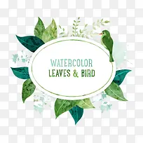 С����ˮ��Ҷ��-������