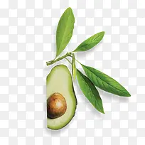 绿色植物水果店铺-空若网 绿色植物水果店铺-空若网