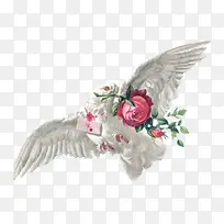 带来幸福和快乐的白色鸽子-空若网 带来幸福和快乐的白色鸽子-空若网