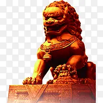 高清摄影活动金黄色狮子做-空若网 高清摄影活动金黄色狮子做-空若网