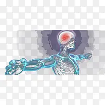 人体结构示意神经系统-空若网 人体结构示意神经系统-空若网