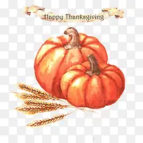 南瓜素描-空若网 南瓜素描-空若网