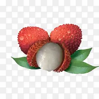 ���ʵ���֦ˮ���ز�-������