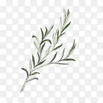 水彩小草-空若网 水彩小草-空若网