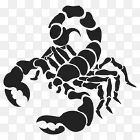 Ы�ӻ�-��֢ռ����-������