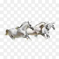 ��Ⱥ����-������