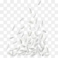 ½à°×µÄ´óÃ×ʸÁ¿png-¿ÕÈôÍø ½à°×µÄ´óÃ×ʸÁ¿png-¿ÕÈôÍø