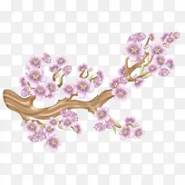 树上的樱花-空若网 树上的樱花-空若网