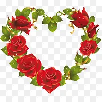 ��ɫõ����Ҷ����-������