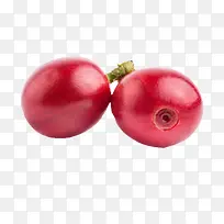 ��ɫ����Ŀ��ȹ�ʵ��-������