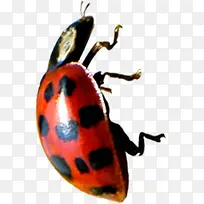 ���տ�ͨ��ɫ����-������