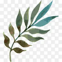 手绘树枝-空若网 手绘树枝-空若网