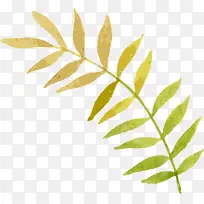 手绘树枝-空若网 手绘树枝-空若网