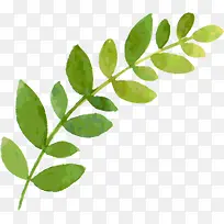 �ֻ���֦-������