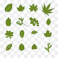 绿色树叶-空若网 绿色树叶-空若网