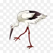 ��ɫ��������ɺ�-������