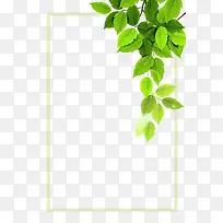 矢量绿色植物边框-空若网 矢量绿色植物边框-空若网
