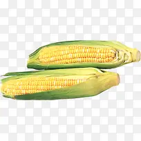 蔬菜-空若网 蔬菜-空若网