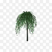 ��ɫ�������-������